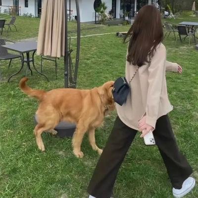 时光机器：回程
